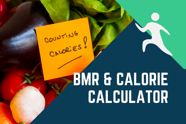 Bmr deals calorie calculator