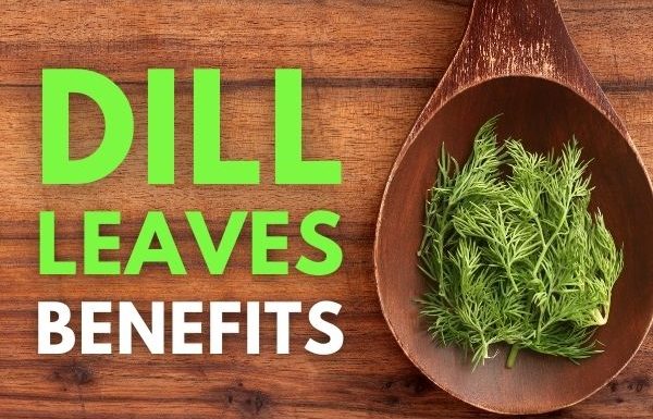 Dill Leaves For Weight Loss And Other Benefits